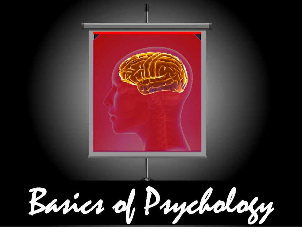 Basics of Psychology